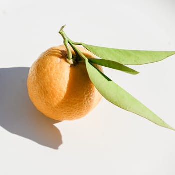 A vibrant orange with green leaves casting a shadow on a stark white background.