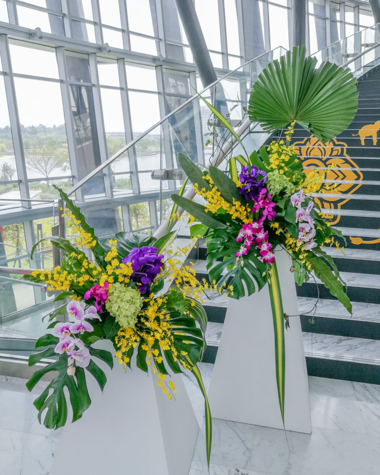 25620928-IMG_20190928_111952
